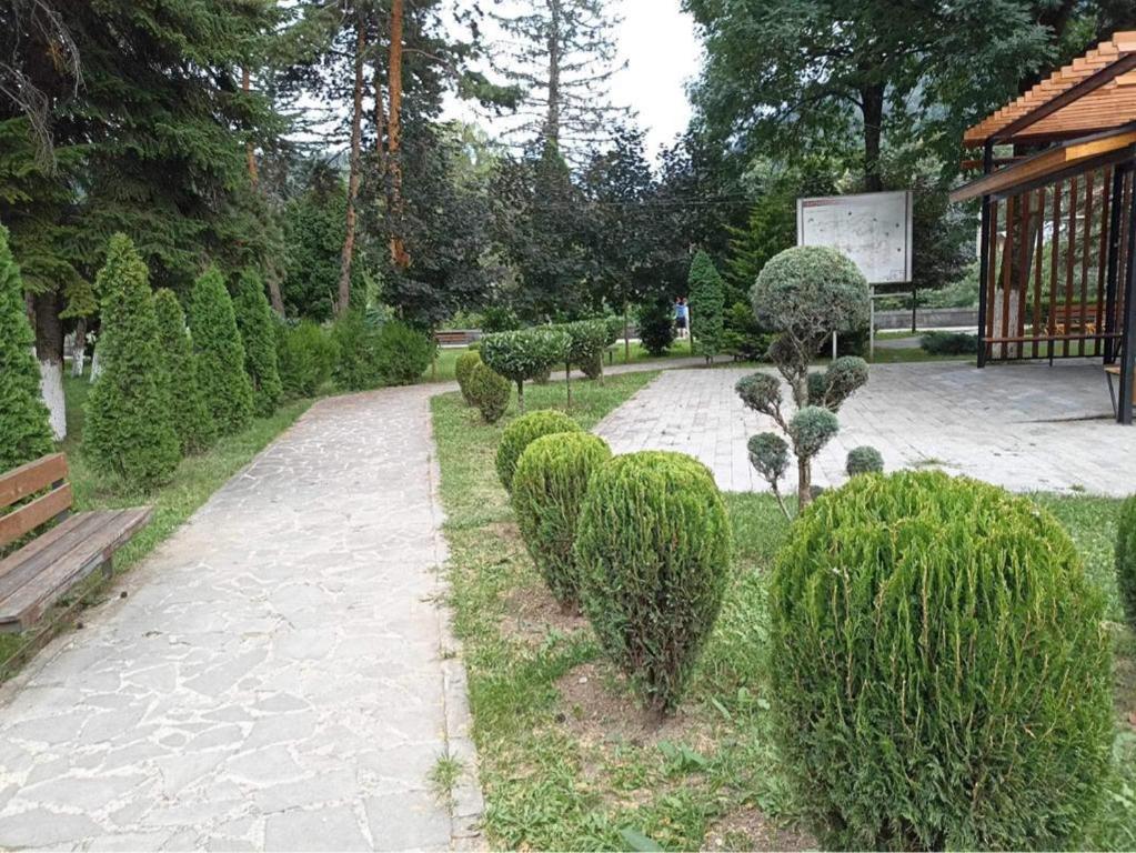 Zahrada ubytování Tamar's Apartment