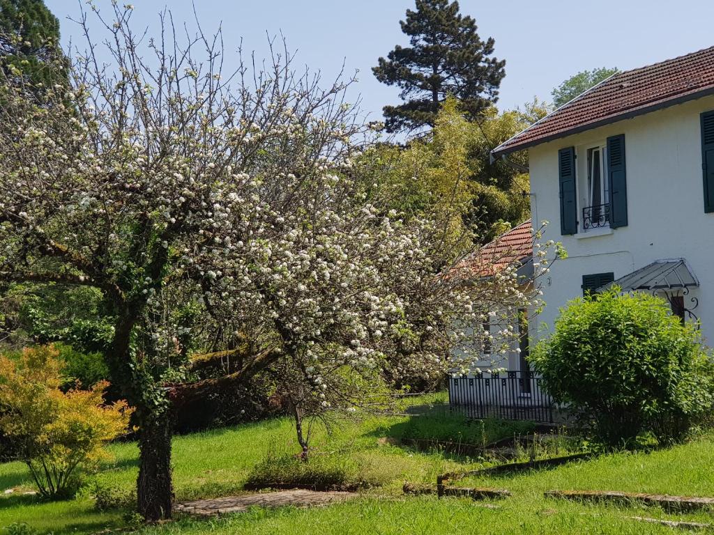 Vonkajšia záhrada v ubytovaní La Petite Sommière