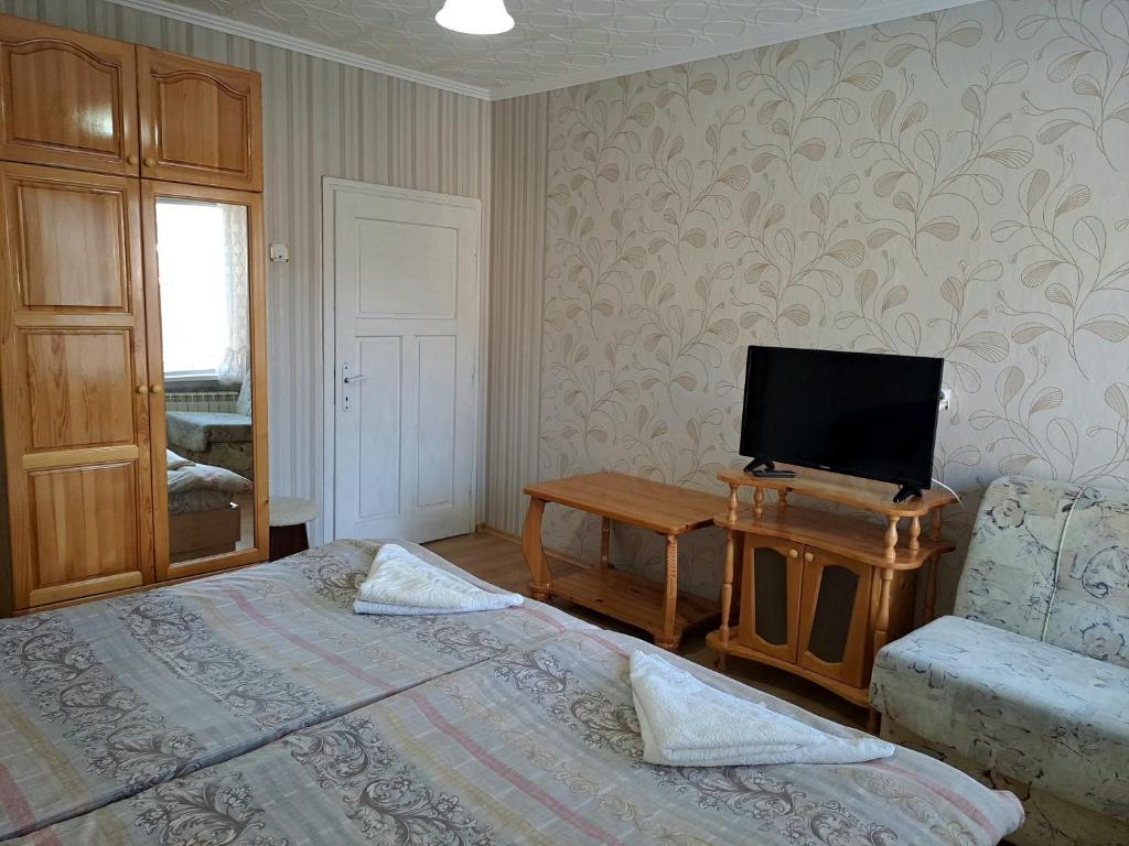 TV a/nebo společenská místnost v ubytování Kovacha Guest House