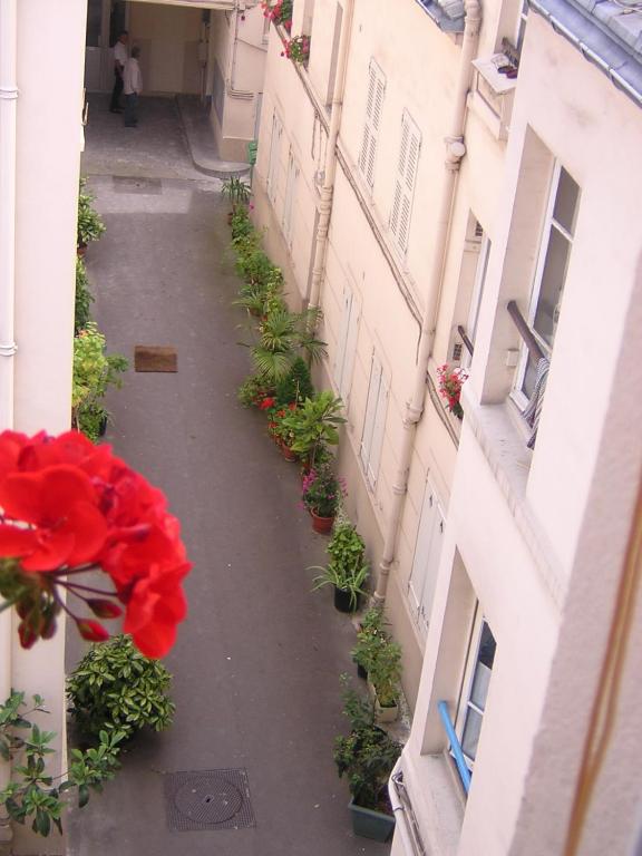 Une allée avec des plantes en pot et une fleur rouge dans l'établissement calme et repos, vue sur les arbres, à Paris