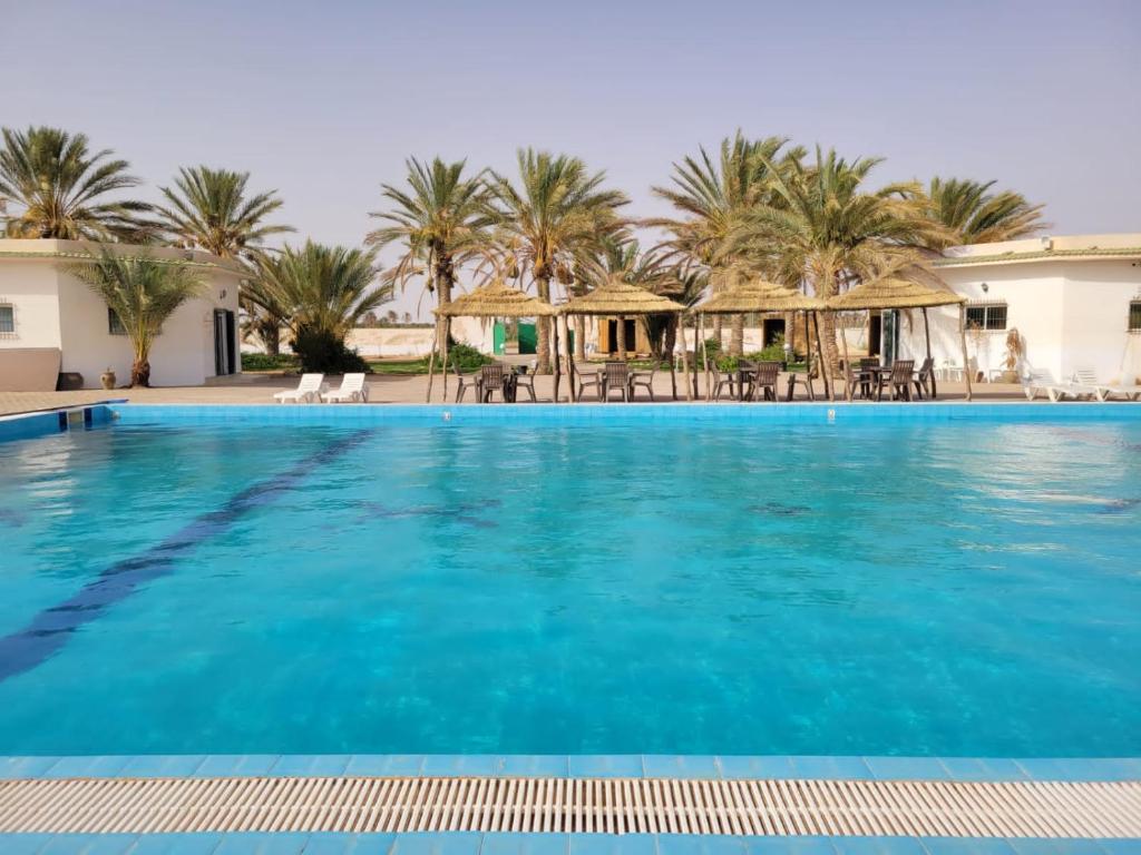 une grande piscine avec des palmiers et des maisons dans l'établissement Garden12 Outdoor & More, à Douz