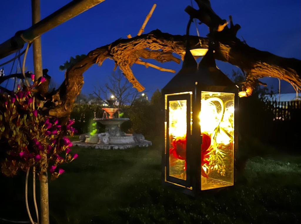 une lanterne suspendue à un arbre la nuit dans l'établissement BeB Latina, à Latina