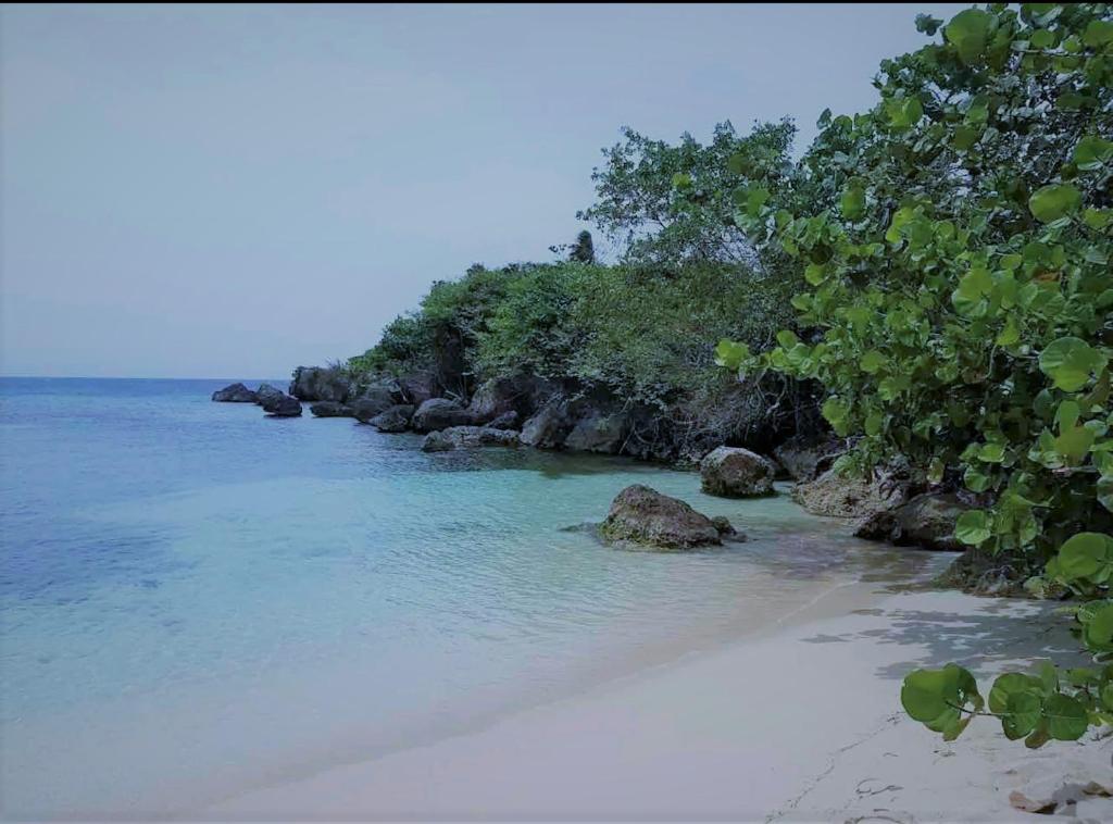 a beach with rocks and trees in the water at Elegant Oasis by the Sea in Saint Annʼs Bay
