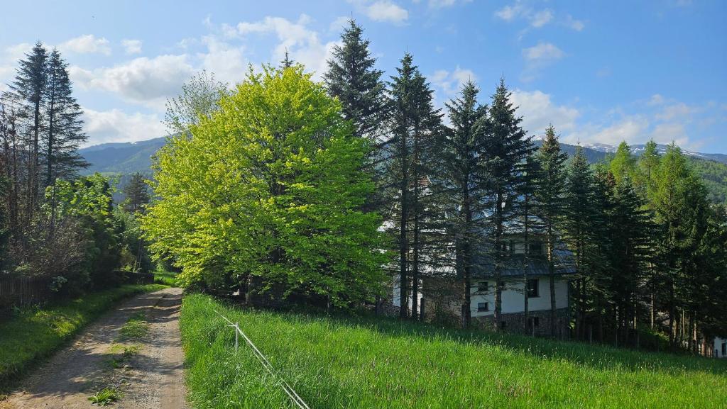 Príroda v okolí apartmánu