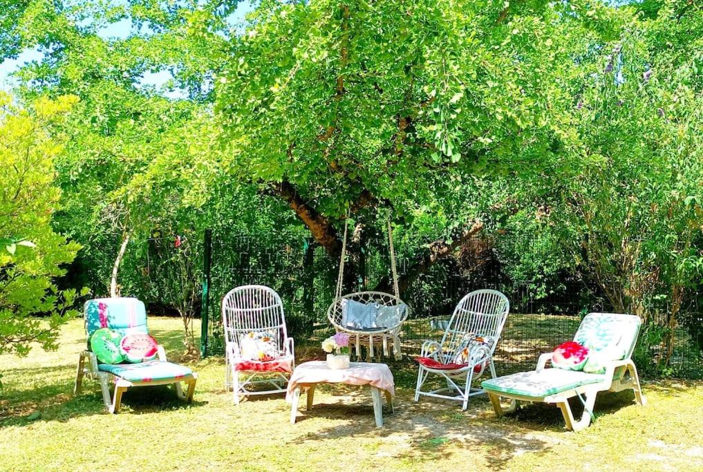 un groupe de chaises assises dans l'herbe sous un arbre dans l'établissement ne surtout pas prendre svp pblm de compte, à LʼÉtoile