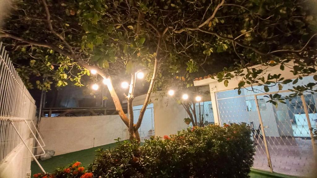 a tree in front of a building with lights on it at Yolo Hostel in João Pessoa