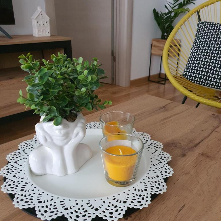 Fotografie z fotogalerie ubytování JR Lux apartman v destinaci Stara Pazova