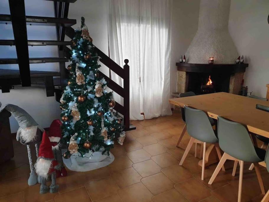 Fotografie z fotogalerie ubytování Hisa Karletavi v destinaci Stolvizza