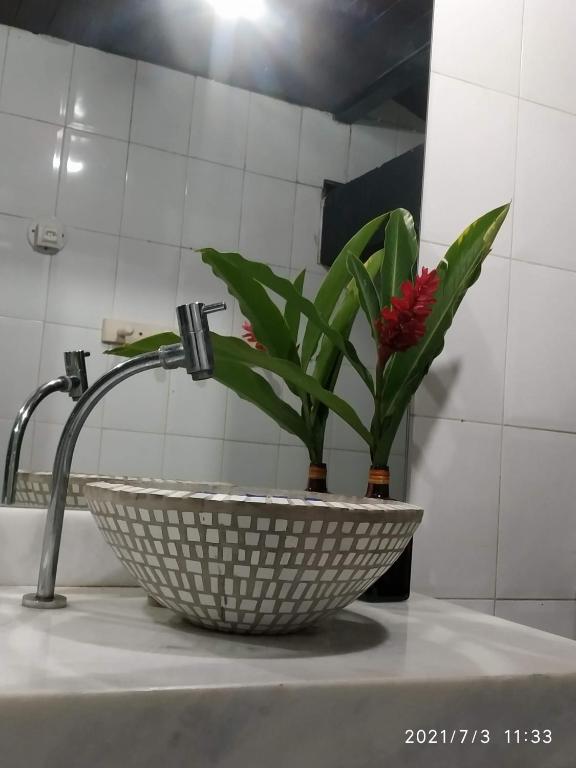a bathroom sink with a plant in a basket at Casa Sanca in Rio de Janeiro