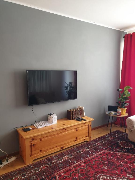 TV a/nebo společenská místnost v ubytování Hisa Karletavi