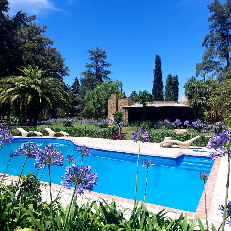 uma piscina num jardim com flores roxas em Casa Principal - El Bamboo Eventos em Arturo SeguÃ­
