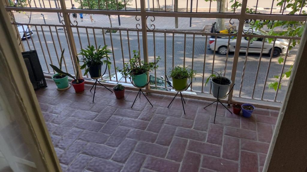 - un balcon avec une bande de plantes en pot dans l'établissement Como en casa, à Mendoza