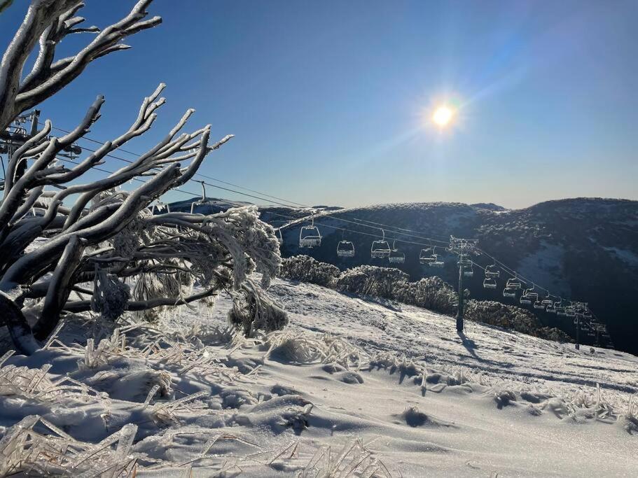 a ski lift on a snow covered slope with snow covered trees at Lawlers 42 in Mount Hotham