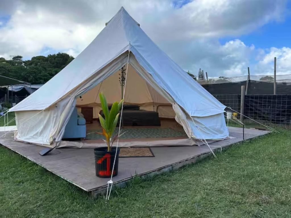 拉耶的住宿－North Shore Glamping / Camping Laie, Oahu, Hawaii，田野里的一个帐篷,种植盆栽植物