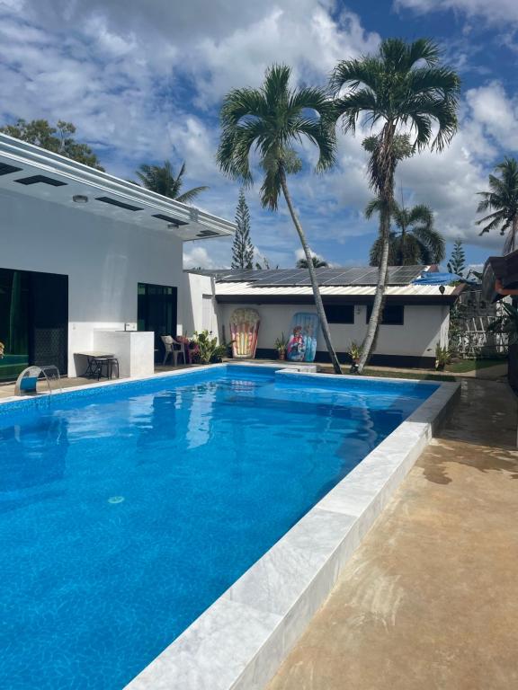 - une piscine entourée de palmiers dans une maison dans l'établissement Jasmin tourist inn, à Dauis