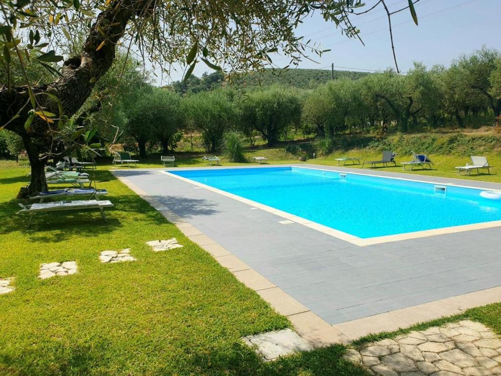 an empty swimming pool in a yard with trees at Agriturismo Il Rifugio in Battipaglia
