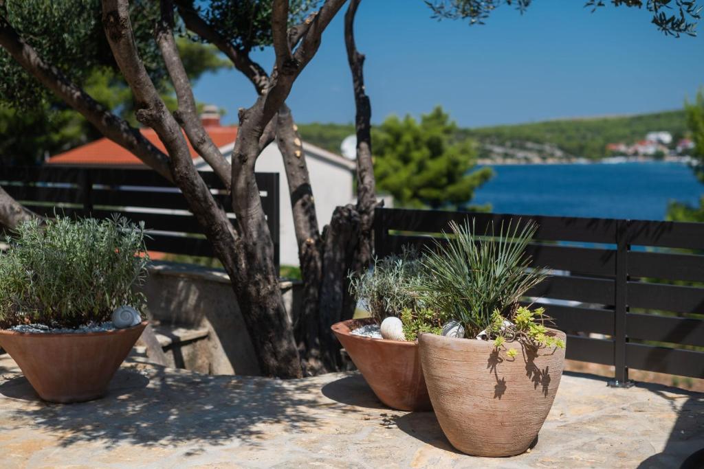 Príroda v okolí apartmánu