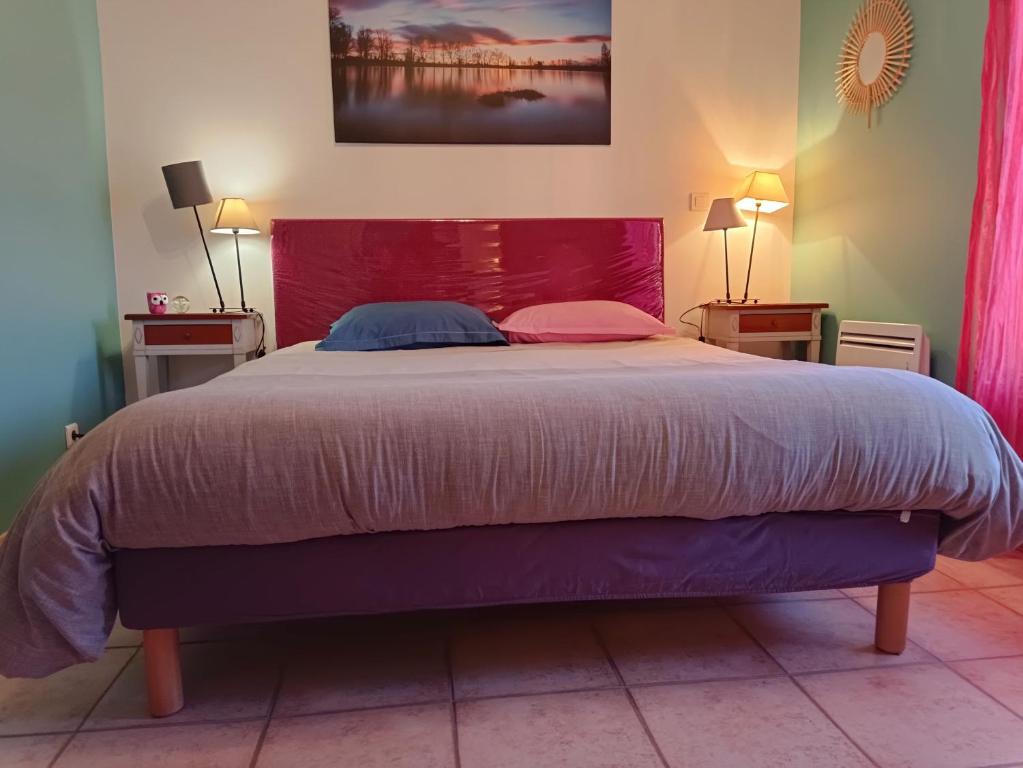 een slaapkamer met een groot bed met roze en blauwe kussens bij Chambres Tricastine & Venise in Saint-Paul-Trois-Châteaux