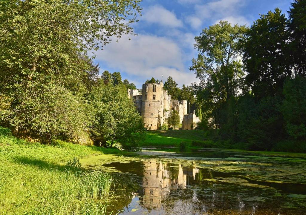 a castle on a hill next to a river at Hotel Auberge Rustique in Beaufort