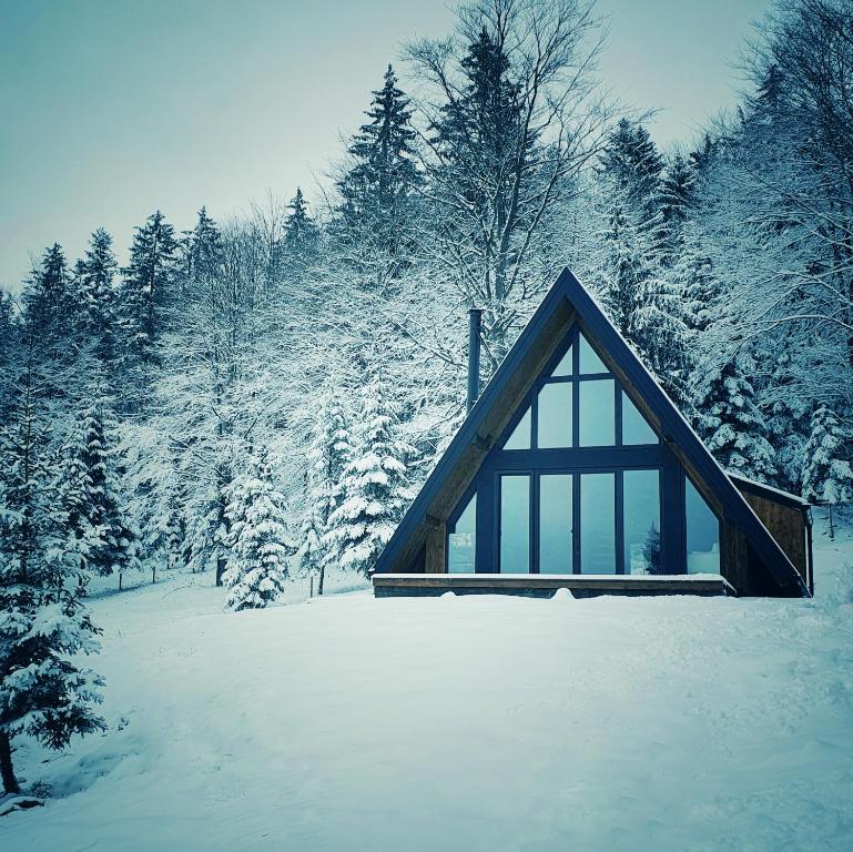 una cabaña en un bosque cubierto de nieve con árboles en Vrleti Tare, en Bajina Bašta