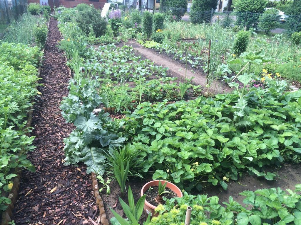 a garden with lots of lettuces and other vegetables at Hotel Auberge Rustique in Beaufort