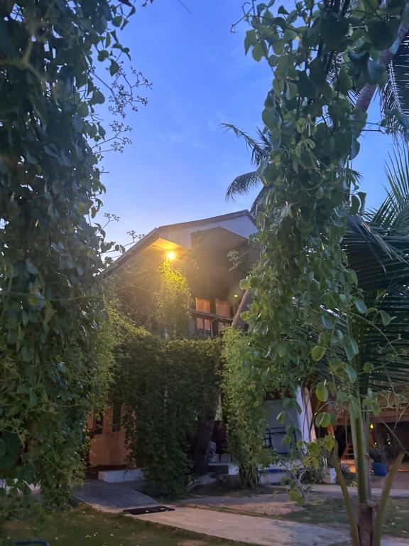 Nespecifikovaný výhled na hory nebo výhled na hory při pohledu z hotelu
