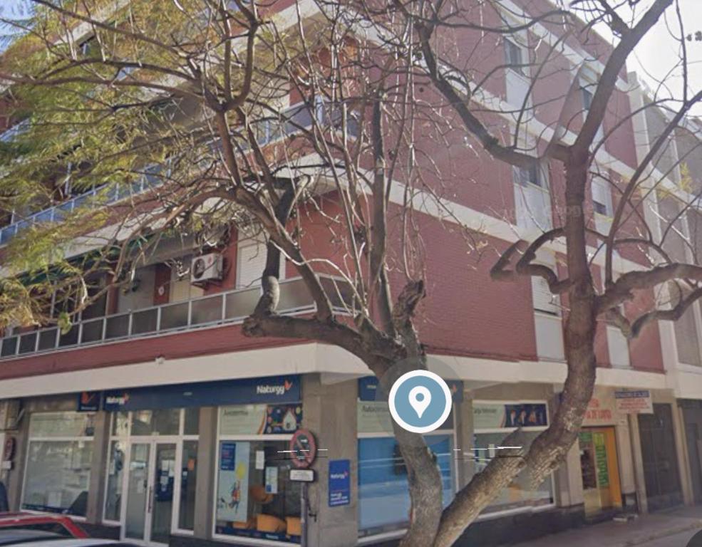 un árbol frente a un edificio al lado de una calle en Apartamento Playa Victoria, en Cádiz