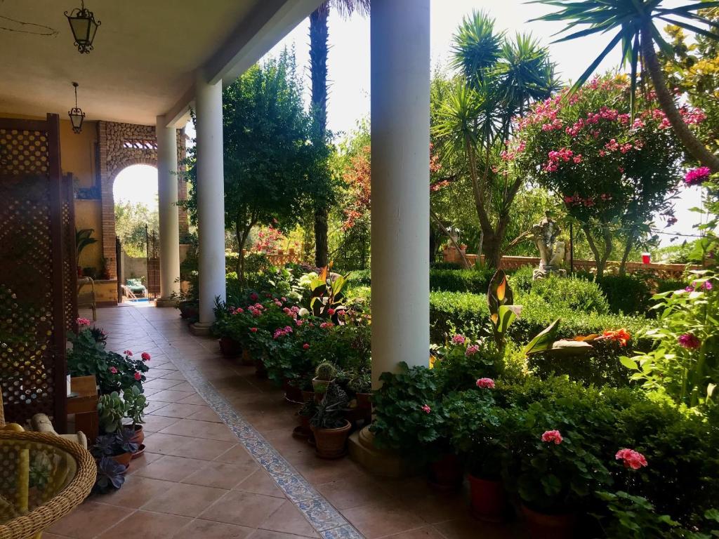 Zahrada ubytování La Finca Mercedes