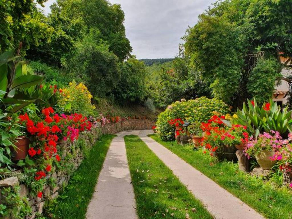 um caminho num jardim com flores e plantas em Agrifoglio B&B con giardino em Aritzo