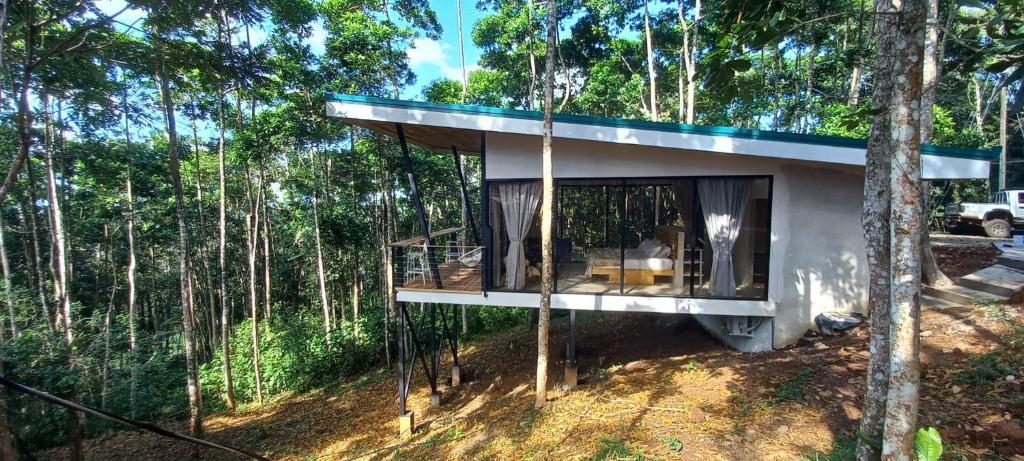 una casa en medio del bosque en Pandanus Lodge & Retreats, 