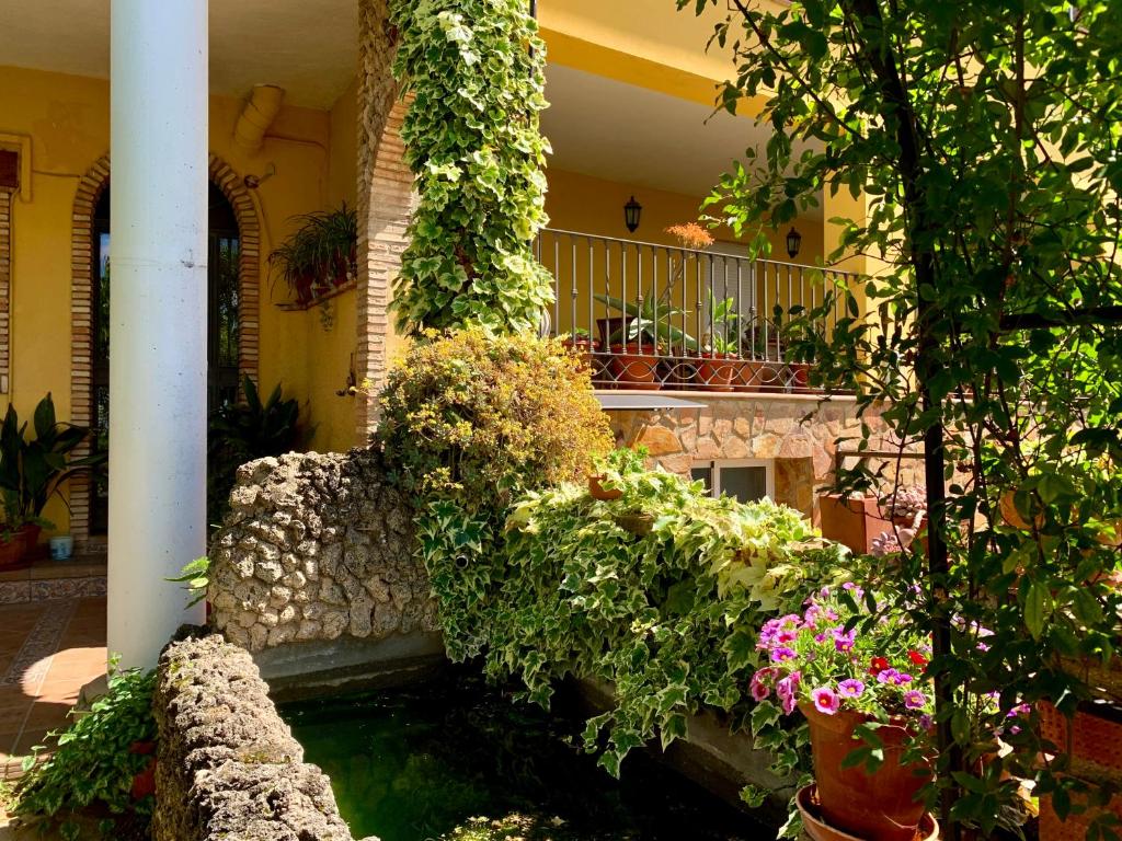 Zahrada ubytování La Finca Mercedes