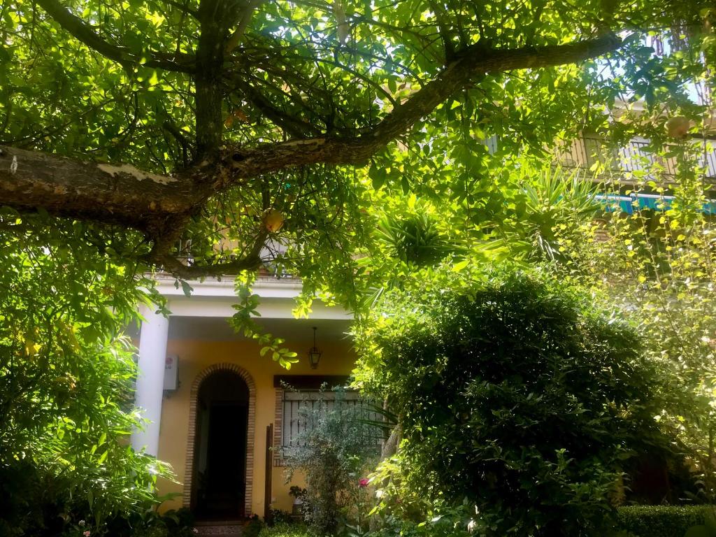 Zahrada ubytování La Finca Mercedes