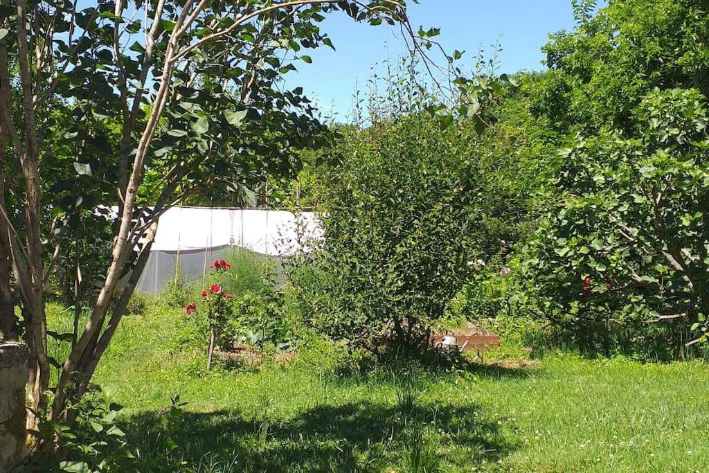 Zahrada ubytování Ancienne grange réhabilitée et Grangette avec piscine et jardin
