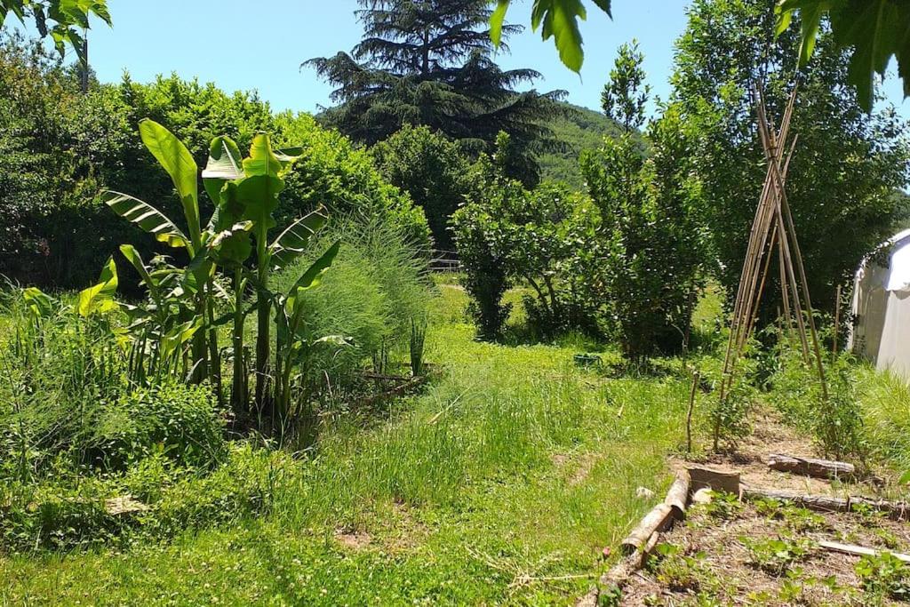Zahrada ubytování Ancienne grange réhabilitée et Grangette avec piscine et jardin