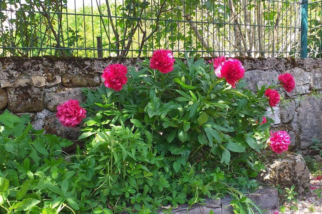 Zahrada ubytování Ancienne grange réhabilitée et Grangette avec piscine et jardin