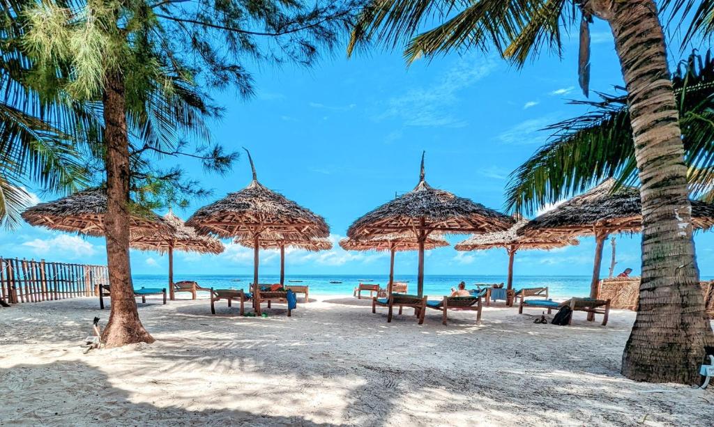 基萬嘎的住宿－巴哈蒂酒店，海滩上设有长椅和遮阳伞,还有大海