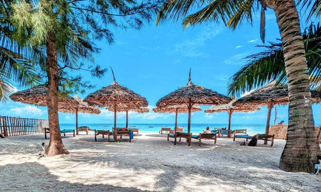 a beach with benches and umbrellas and the ocean at Bahati Villa in Kiwengwa