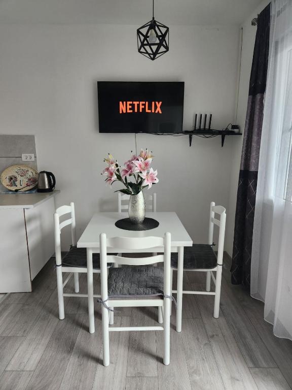 Kuchyň nebo kuchyňský kout v ubytování Apartment Marina 2