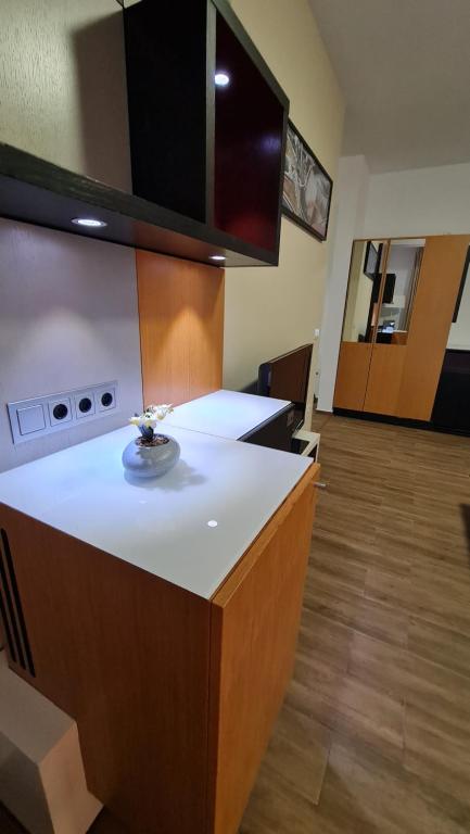 Kuchyň nebo kuchyňský kout v ubytování Jafar Resort 7
