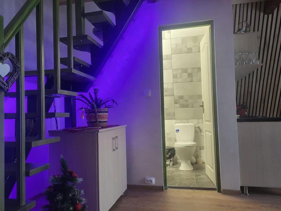 バリウグにあるCabana Vânătorilor A Frame Greenの紫色の部屋(トイレ、階段付)