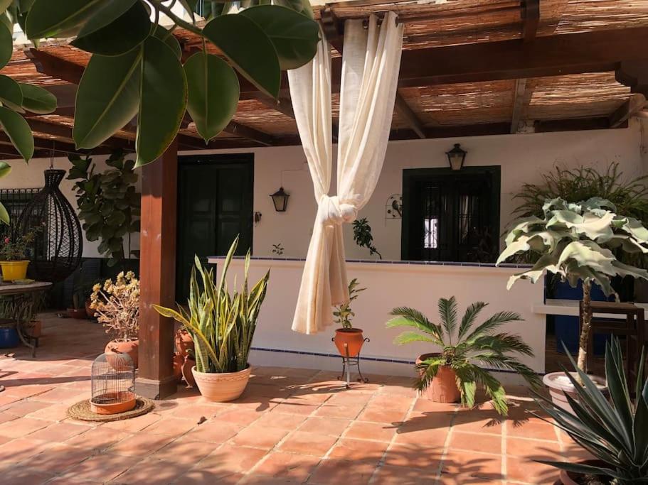een patio met een bos potplanten bij Casa frente al mar en Villaricos in Villaricos