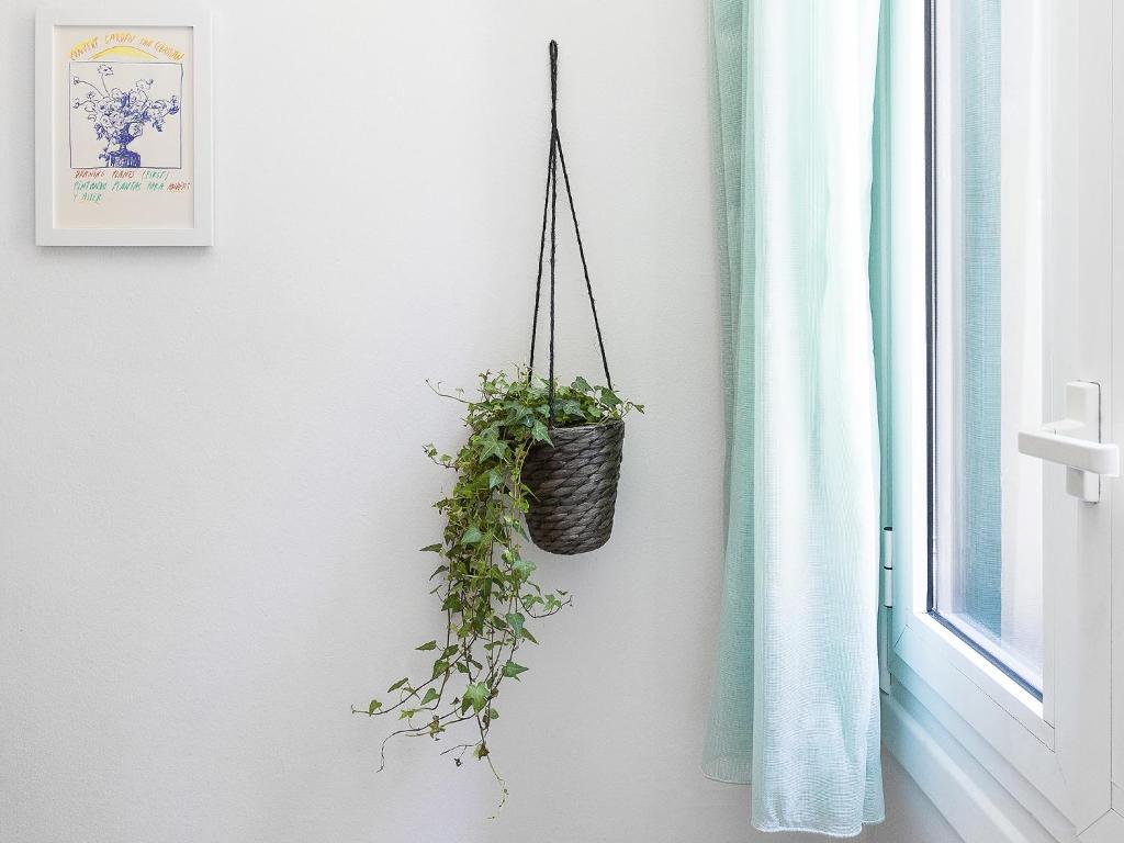 A Room In The City Hostel - 6