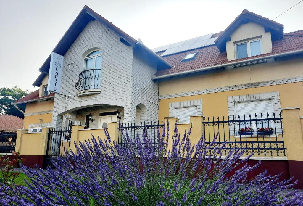 a house with a fence and purple flowers at Sóvirág Termál Panzió in Hajdúnánás