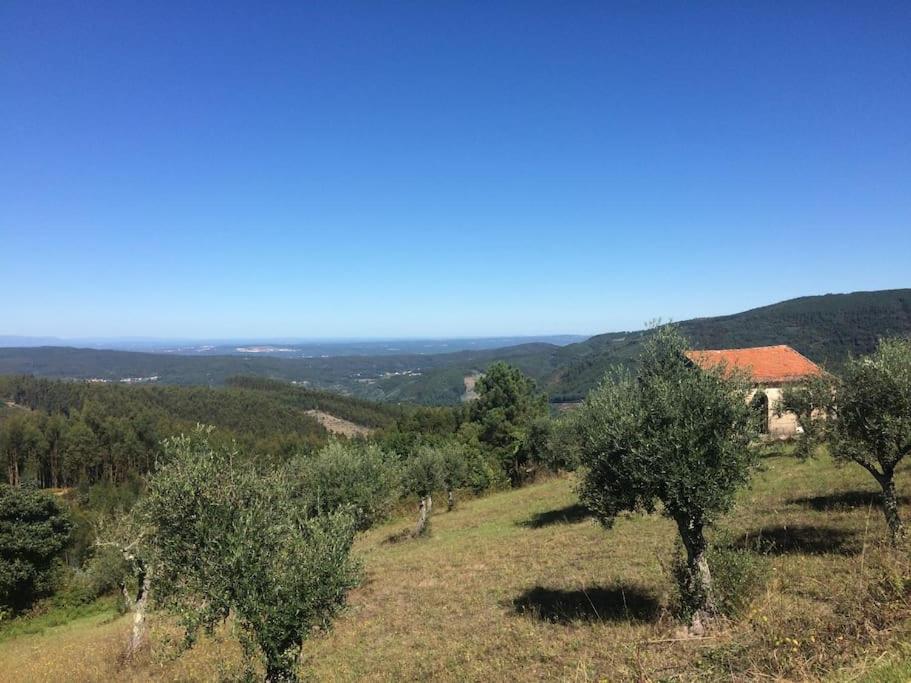 a field with trees and a house on a hill at Casa dos Veados in Ladeiras