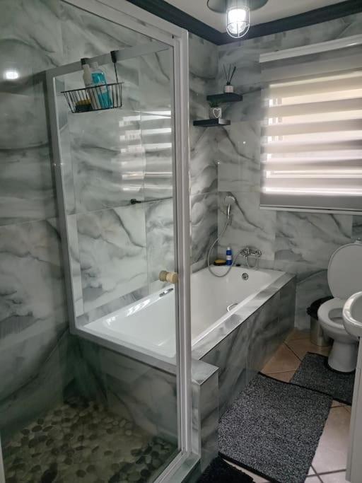 a bathroom with a shower and a tub and a toilet at Maneli 69 in Boksburg