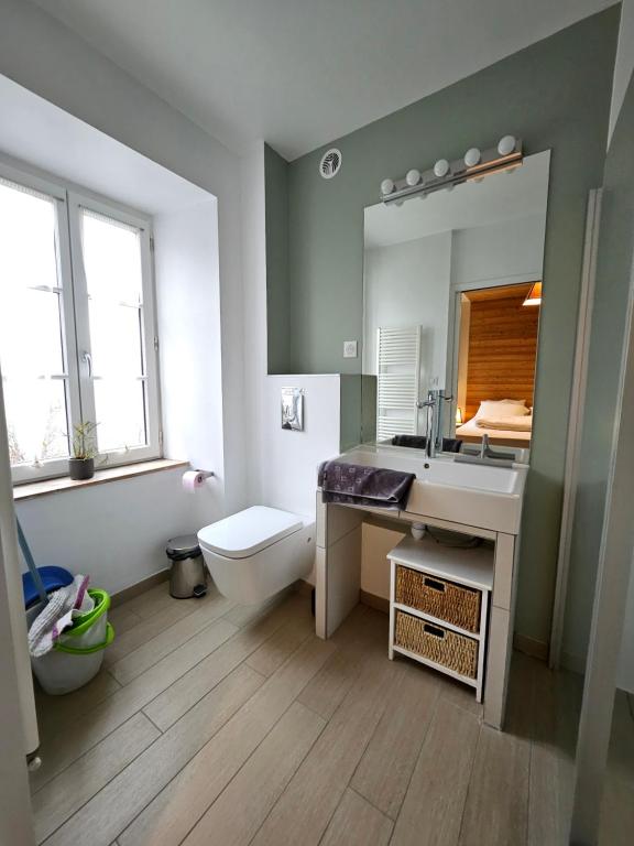 a bathroom with a sink and a toilet and a mirror at Gite La Lumette in Besse-et-Saint-Anastaise