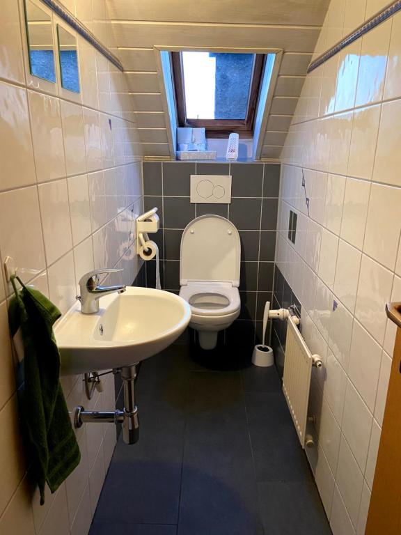 a small bathroom with a toilet and a sink at Penthouse - 4-Zimmer und Terrasse in Karlsbad