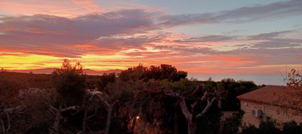 - une vue sur un coucher de soleil avec des arbres et un bâtiment dans l'établissement Les Asphodèles, à Sausset-les-Pins