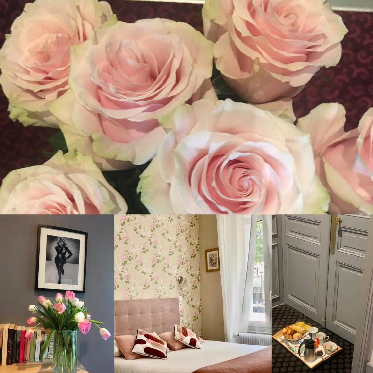 a collage of pictures of pink roses on a wall at Hotel Mirabeau in Tours