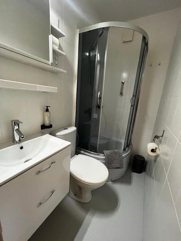 Terminal Airport - Resim 22